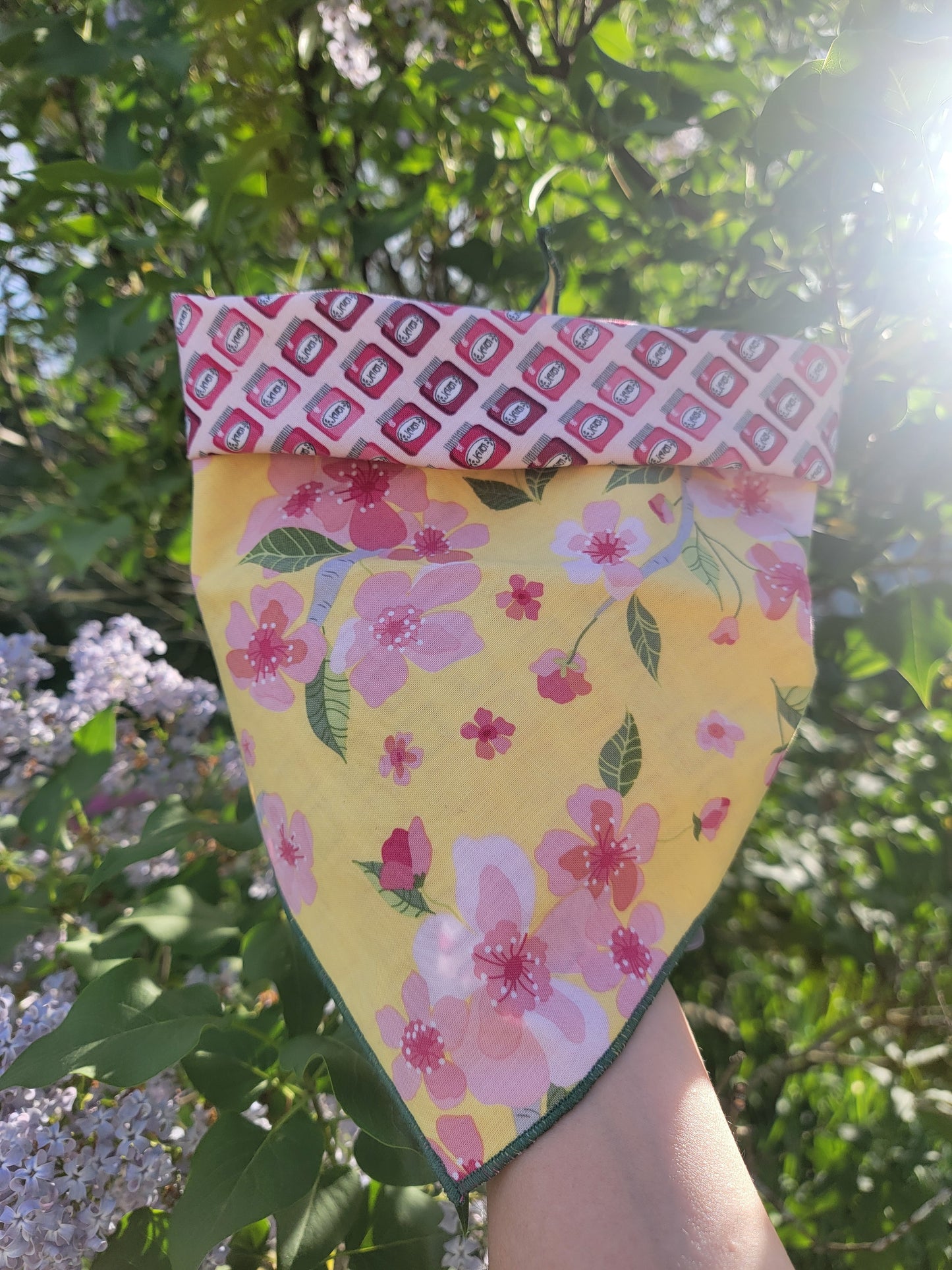 Jam Jars Reversible Bandana